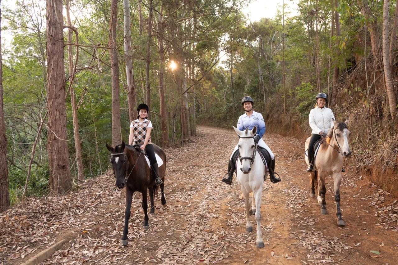 Haras Morena Resort Juiz de Fora Extérieur photo